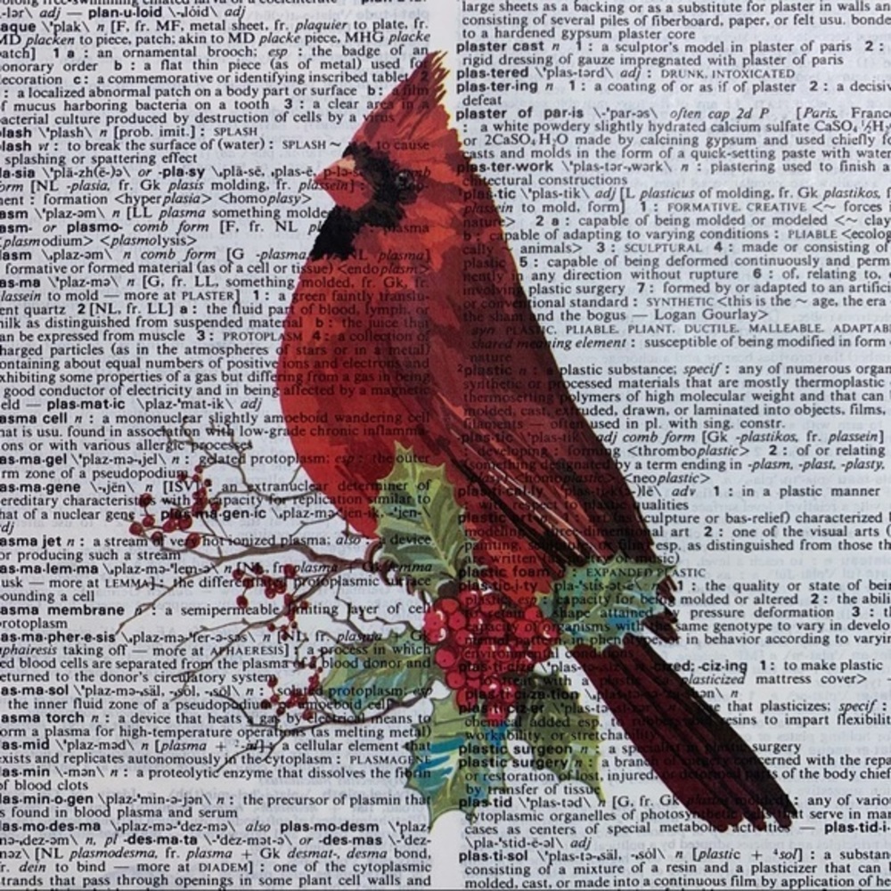 Dictionary Art Print Red Cardinal Bird, Vintage Art Print